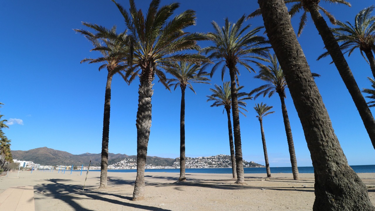Photo of Others in Santa Margarida