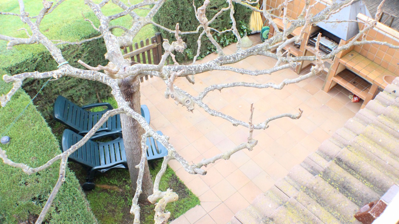 Photo of Patio Balcony in Santa Margarida