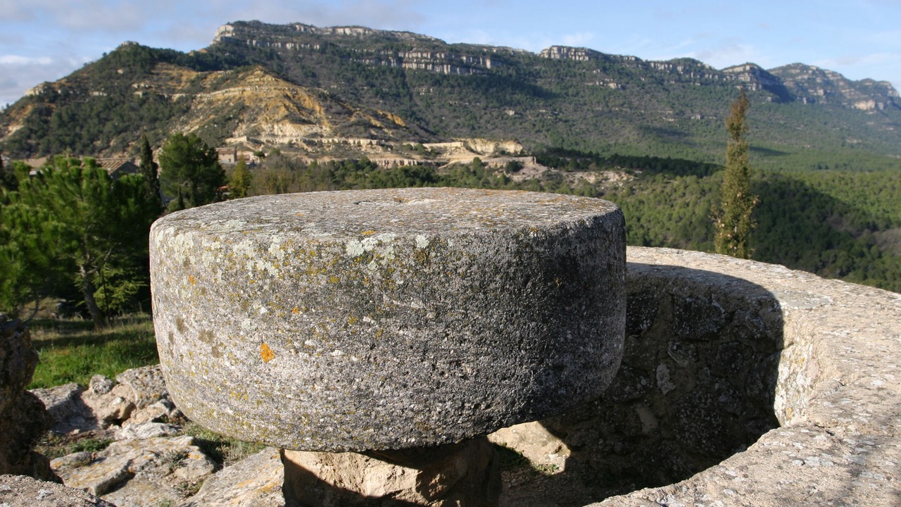 Photo of Others in Cornudella de Montsant