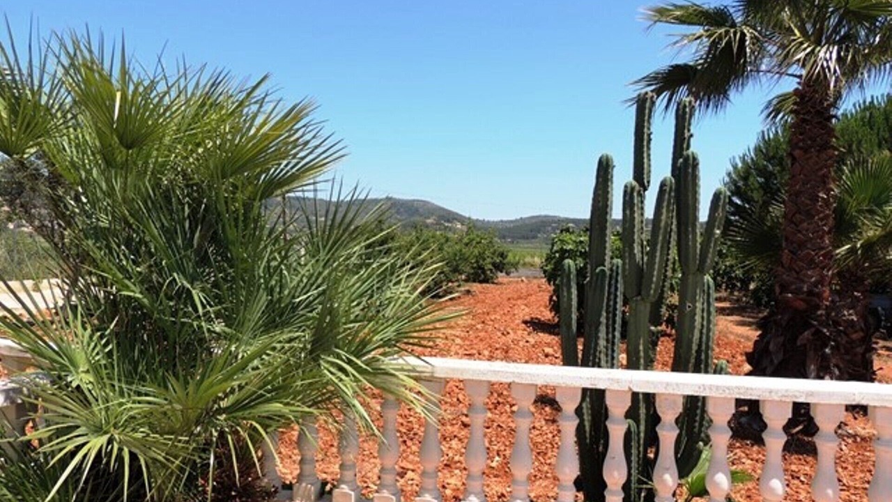 Photo of Outdoor in Jalon