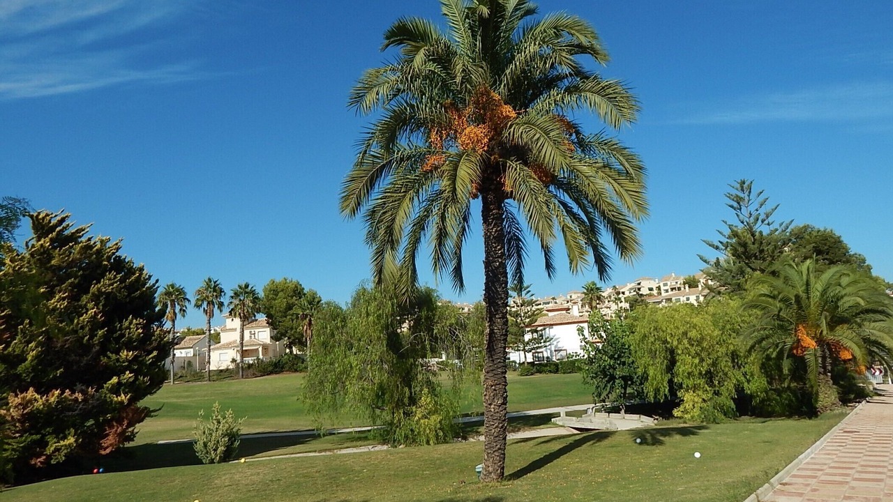 Photo of Others in Villamartin