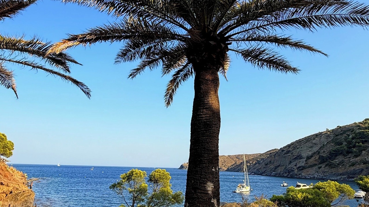 Photo of Others in Portlligat
