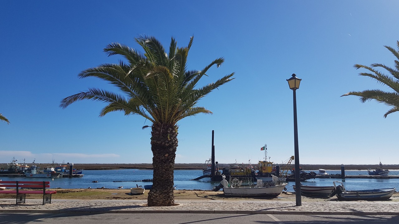 Photo of Others in Tavira