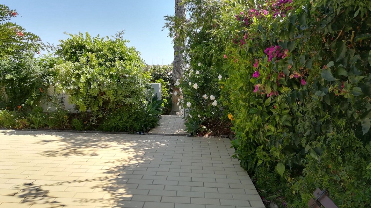 Photo of Outdoor in Albardeira