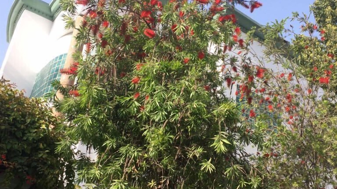 Photo of Outdoor in Ain Sebaa