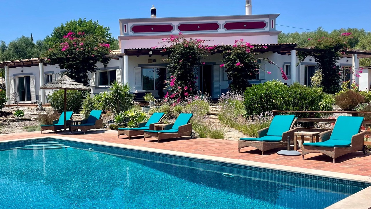 Photo of Outdoor in Calicos