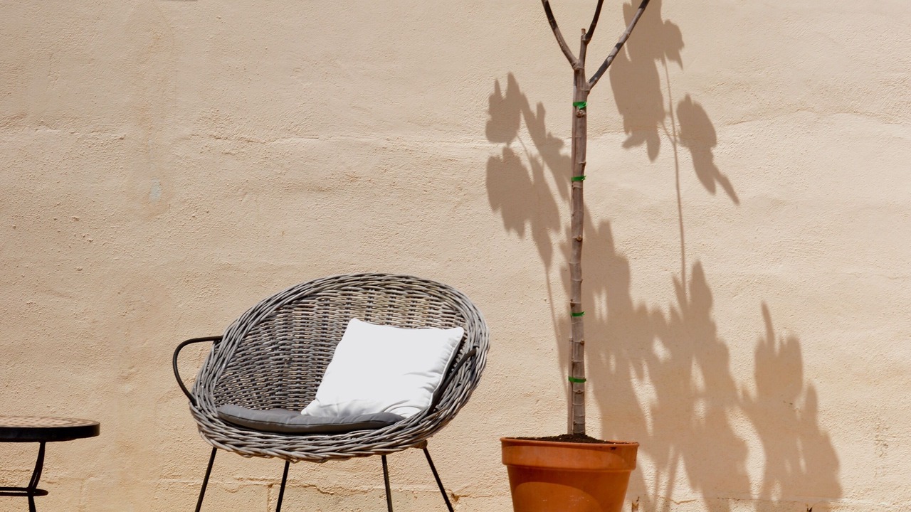 Photo of Outdoor in Coveta Fuma