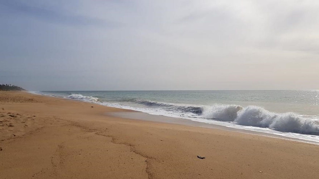 Photo of Others in Quarteira