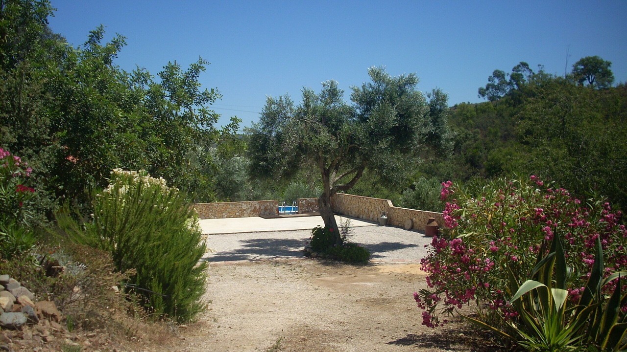 Photo of Outdoor in Santa Catarina da Fonte do Bispo