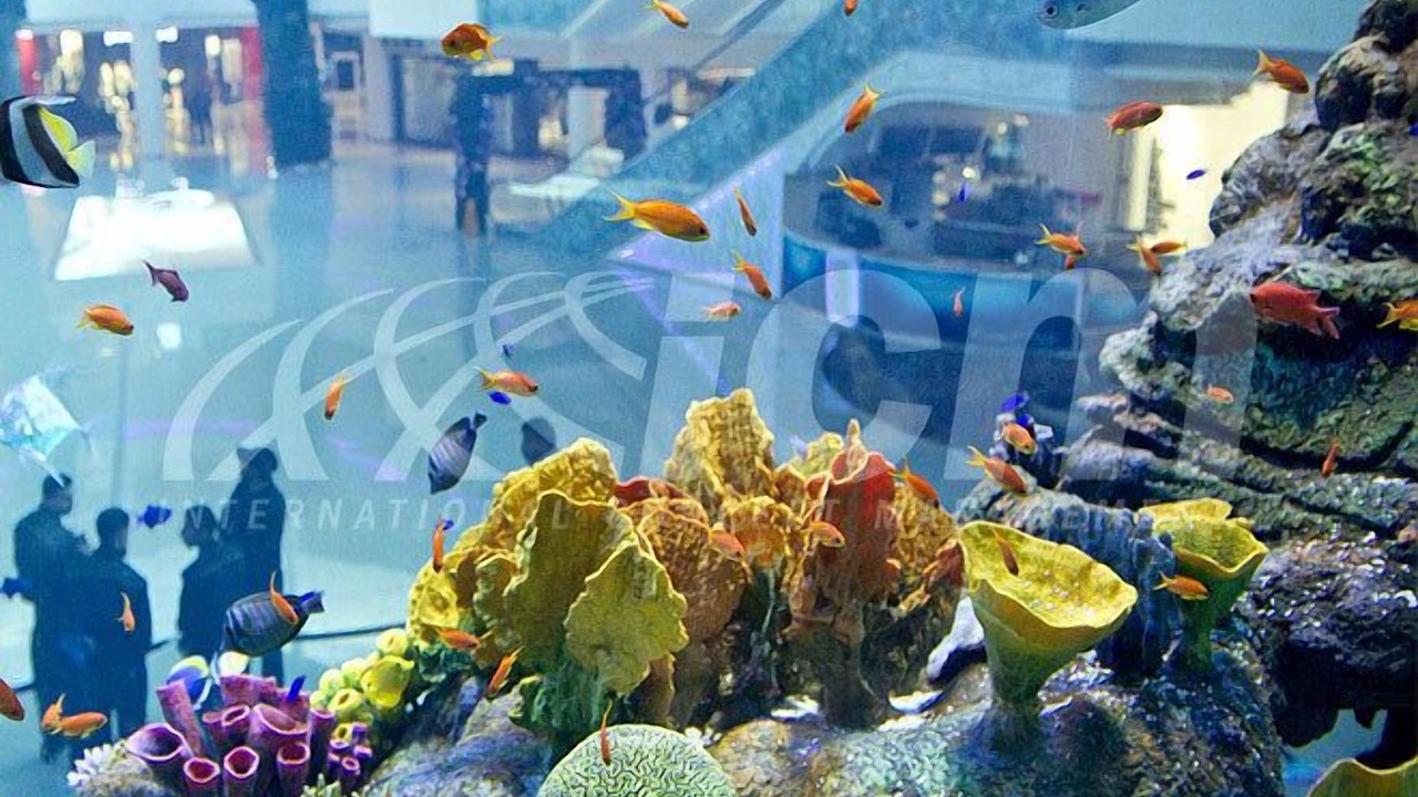 Photo of Outdoor in Casablanca