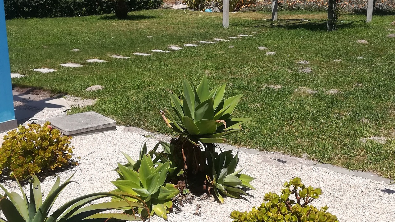 Photo of Outdoor in Torres Vedras
