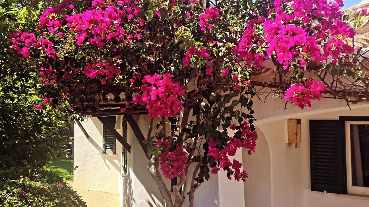 Photo of Outdoor in Alcalar