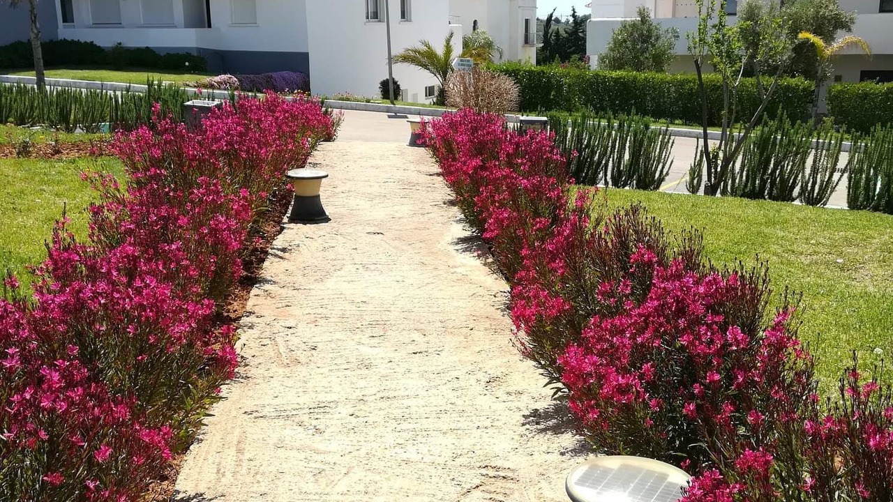 Photo of Outdoor in Asilah