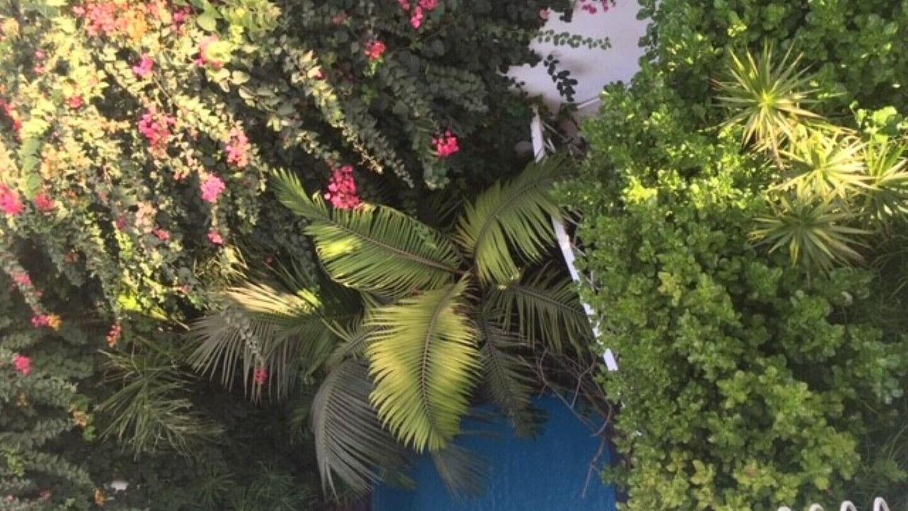 Photo of Outdoor in Casablanca
