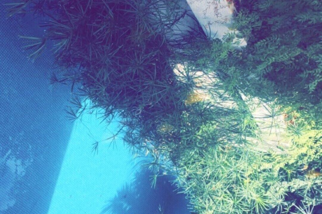 Photo of Outdoor in Casablanca