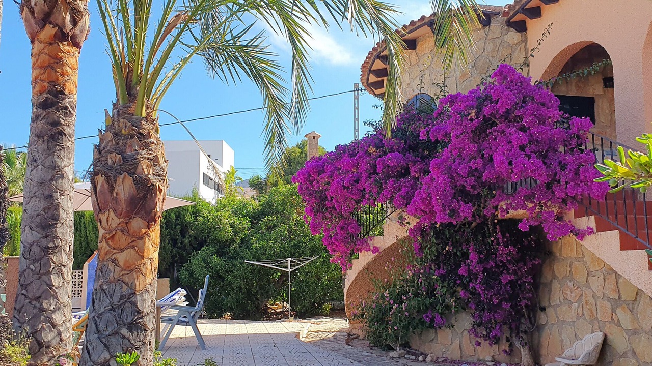 Photo of Outdoor in La Canuta