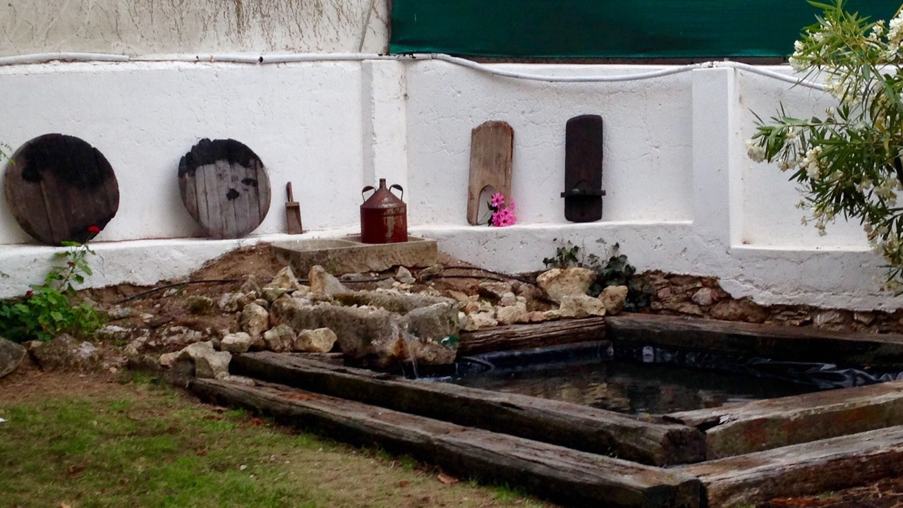Photo of Others in A dos Cunhados