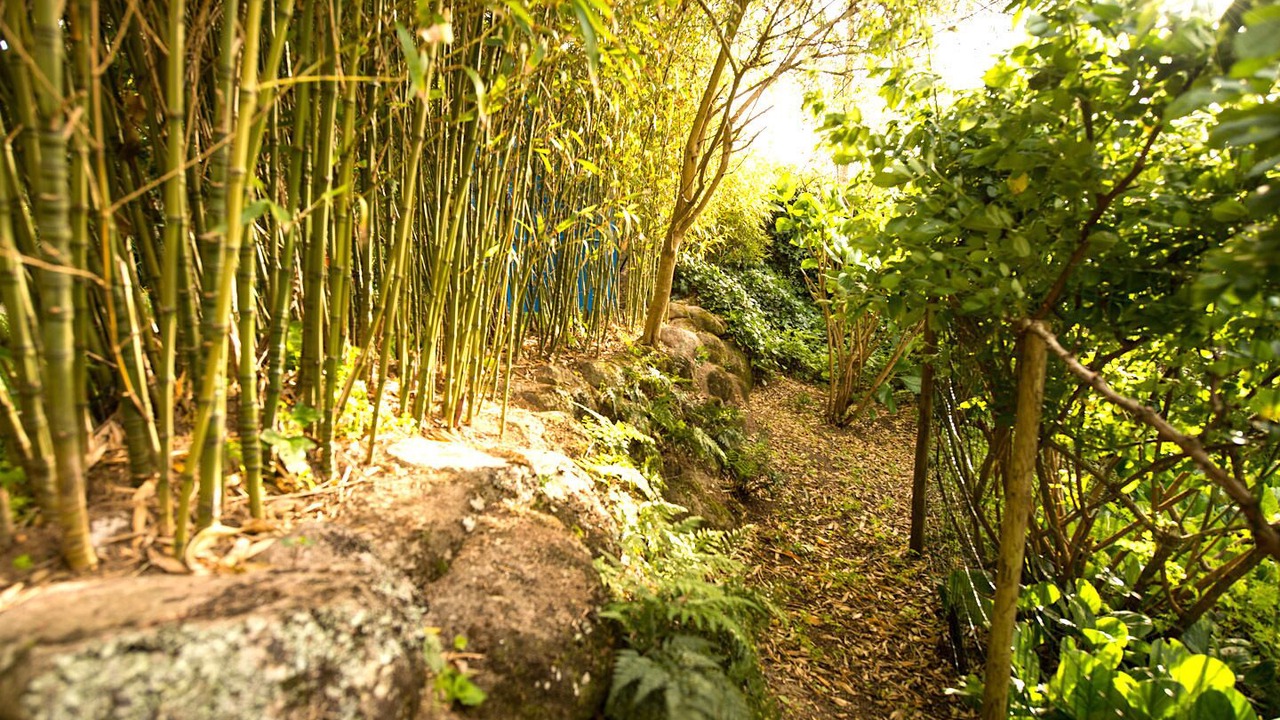 Photo of Outdoor in Monserrate