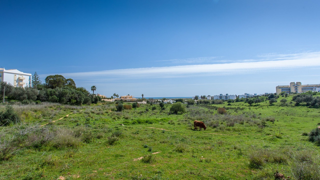 Photo of Outdoor in Albardeira