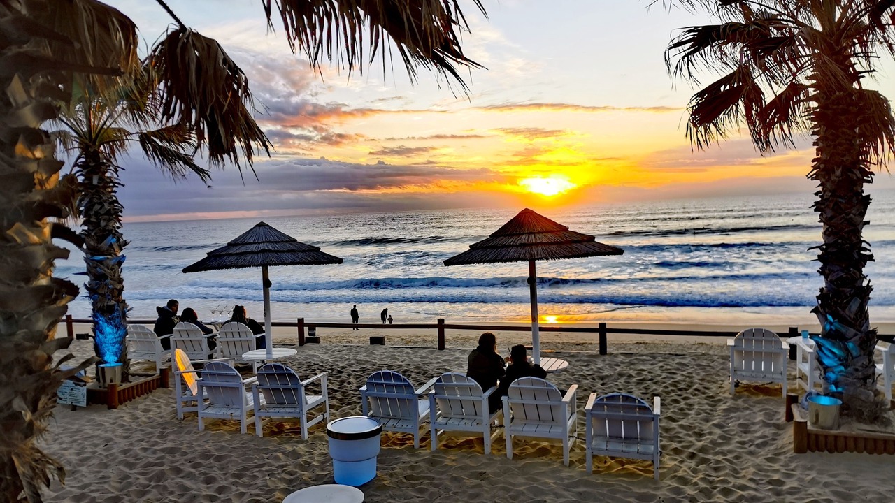 Photo of Others in Charneca de Caparica e Sobreda