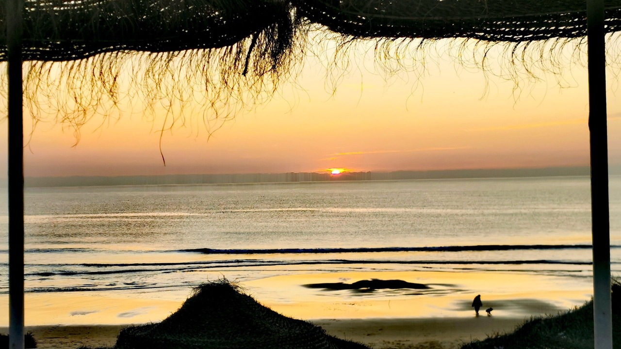 Photo of Others in Charneca de Caparica e Sobreda