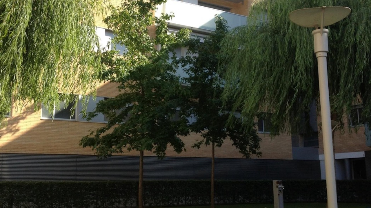 Photo of Outdoor in Tossa de Mar
