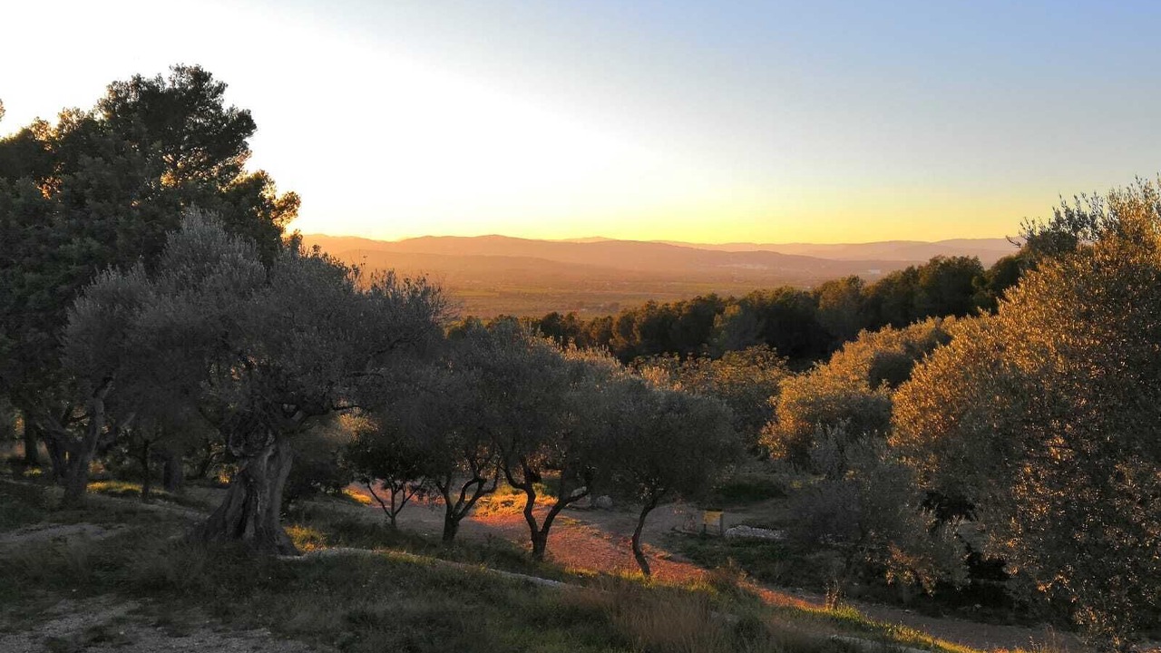 Photo of Outdoor in San Jorge