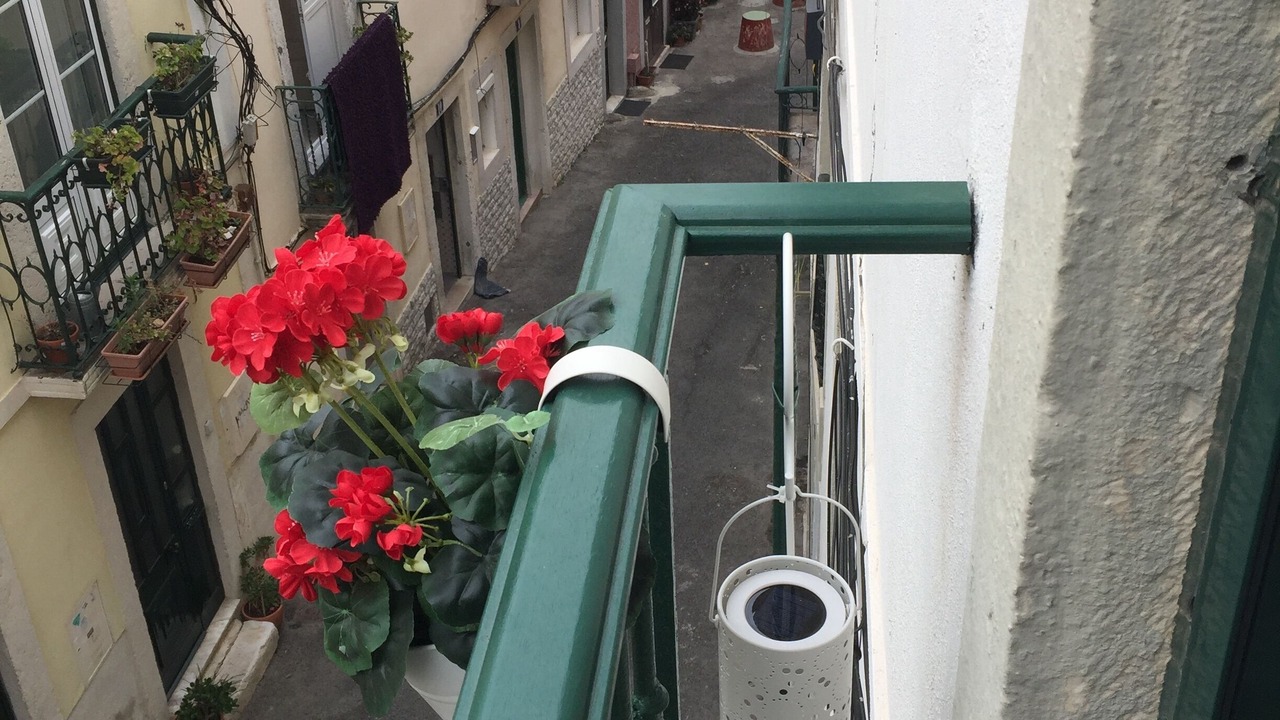 Photo of Outdoor in Alfama