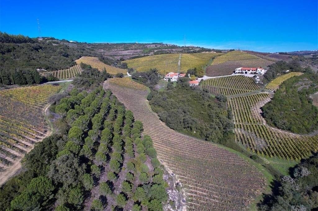 Photo of Outdoor in Loures
