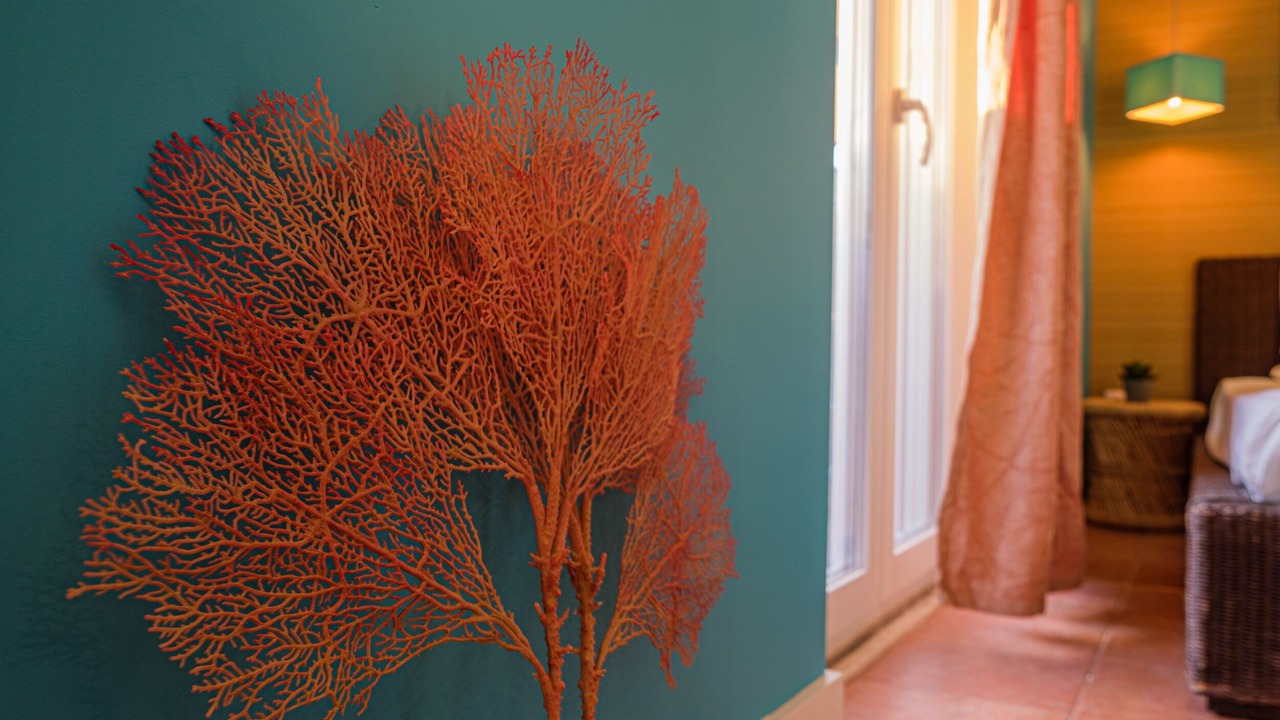 Photo of Others in Setubal