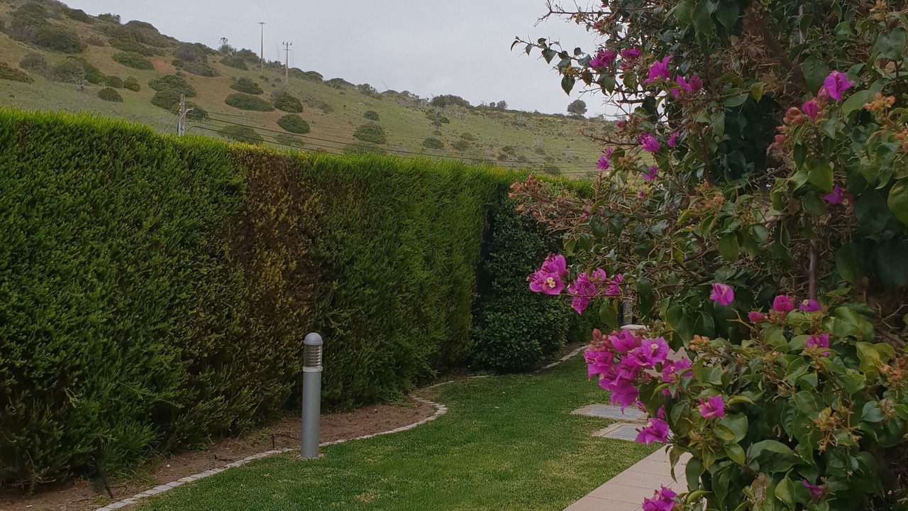 Photo of Others in Burgau