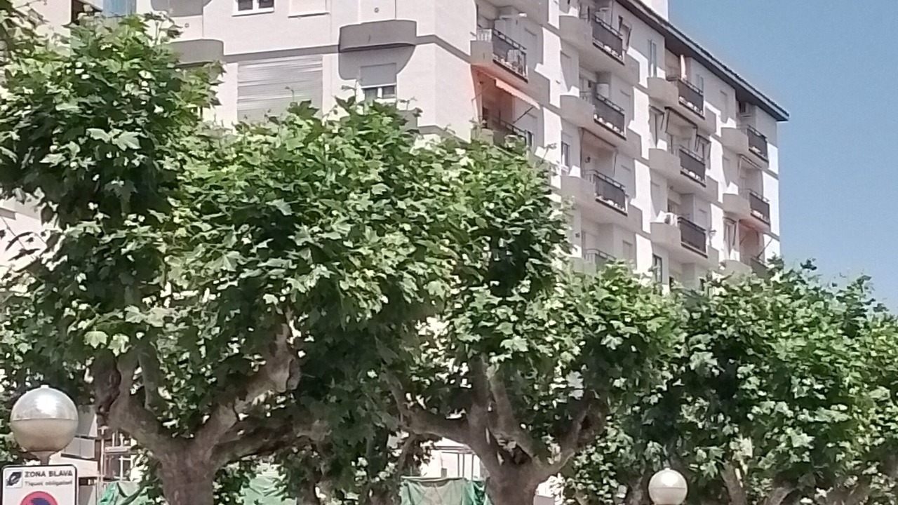 Photo of Others in Calella