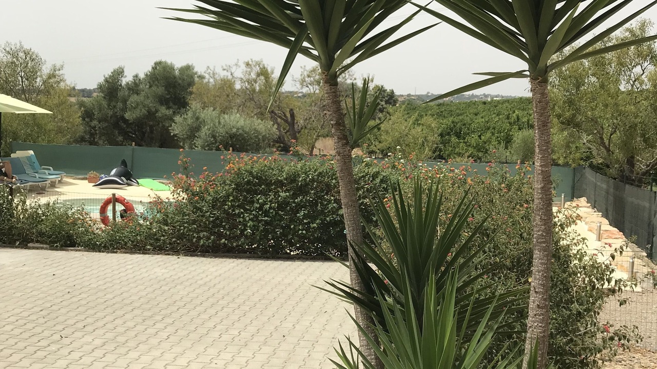 Photo of Outdoor in Quelfes