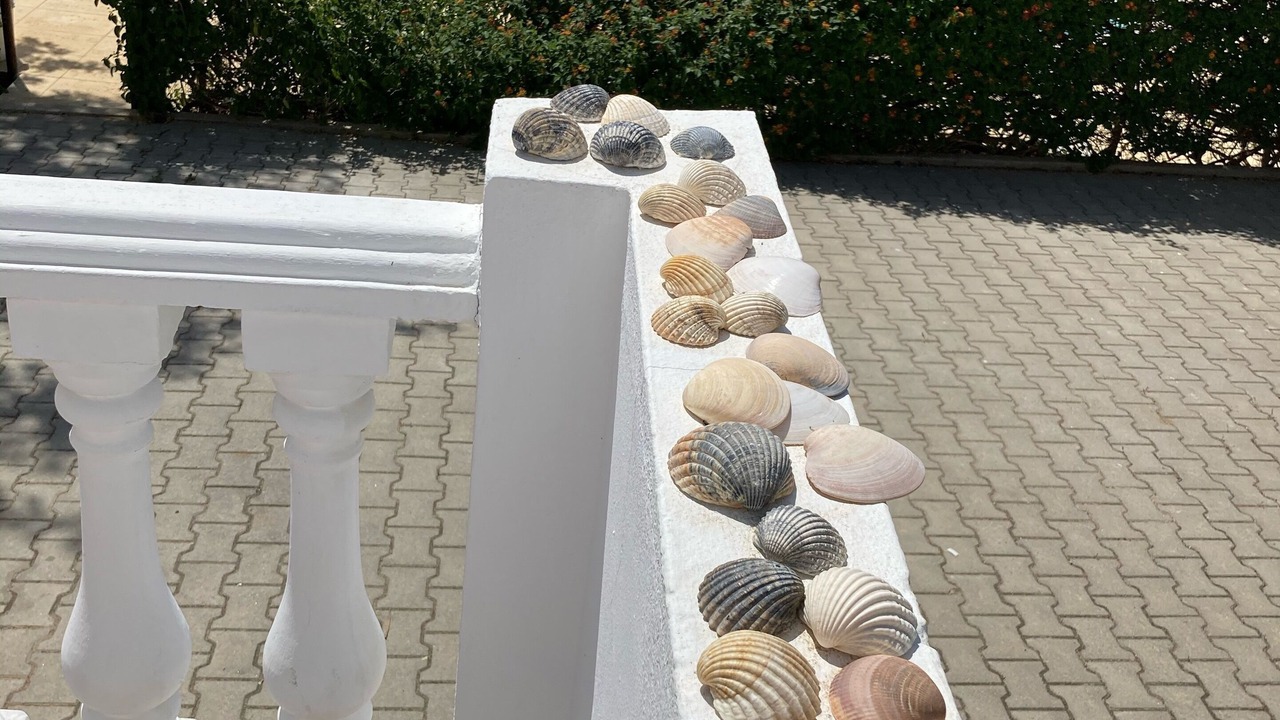 Photo of Patio Balcony in Quelfes