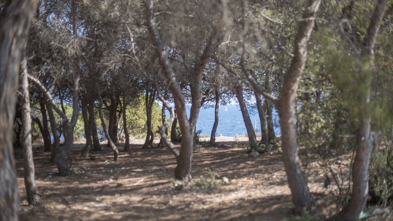 Photo of Others in Torredembarra
