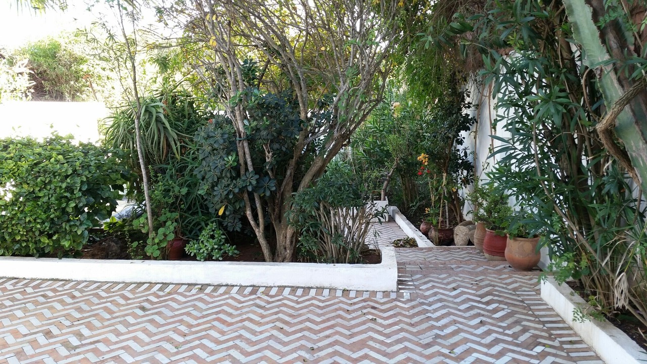 Photo of Outdoor in Mohammedia