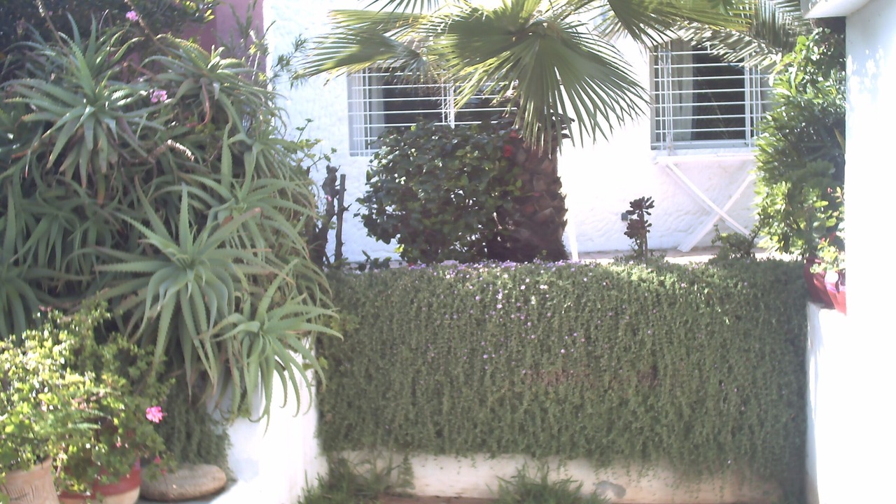 Photo of Outdoor in Mohammedia