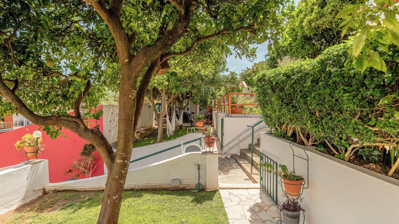 Photo of Outdoor in Alges