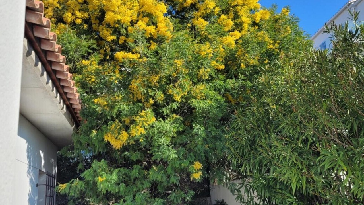 Photo of Outdoor in Roses