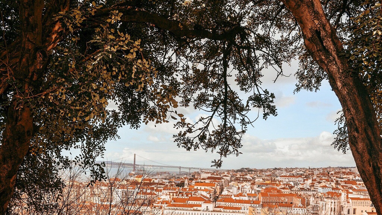 Photo of Outdoor in Santa Maria Maior