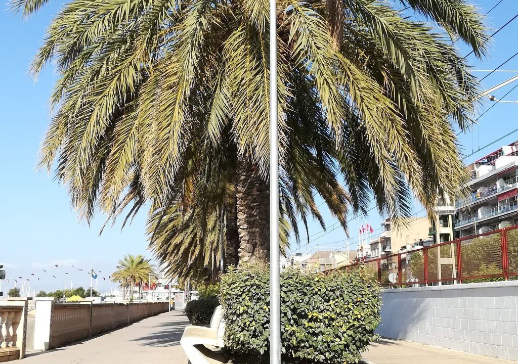 Photo of Others in Masnou