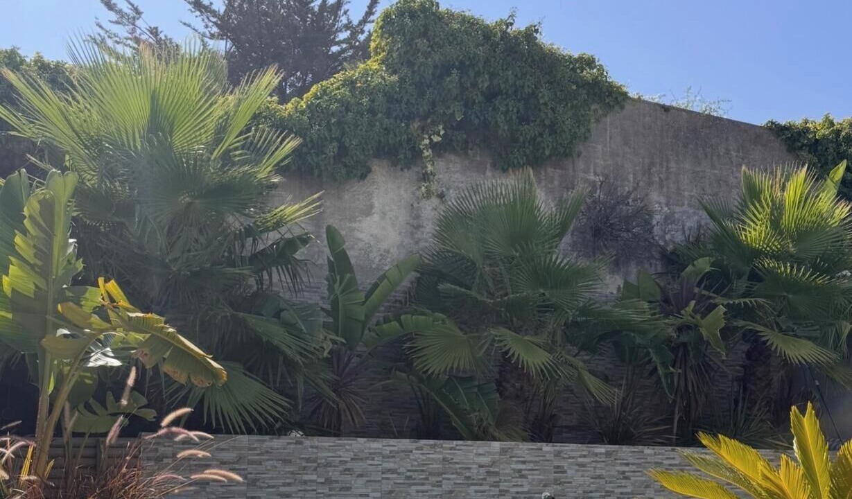 Photo of Outdoor in Bicesse