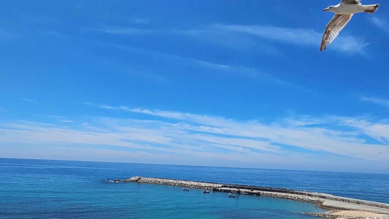 Photo of Others in Sao Pedro da Cadeira