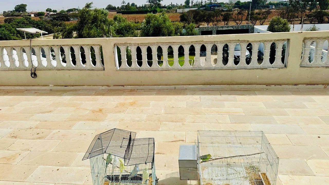 Photo of Patio Balcony in Ain Sebaa