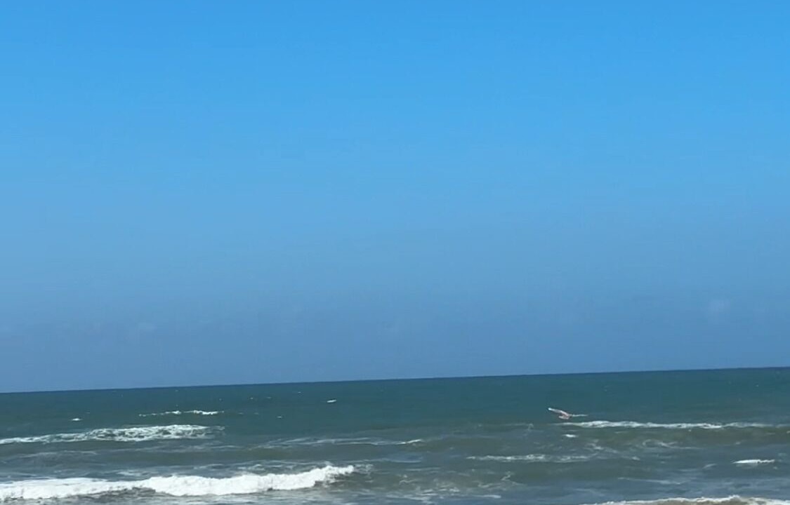 Photo of Others in Ain Sebaa