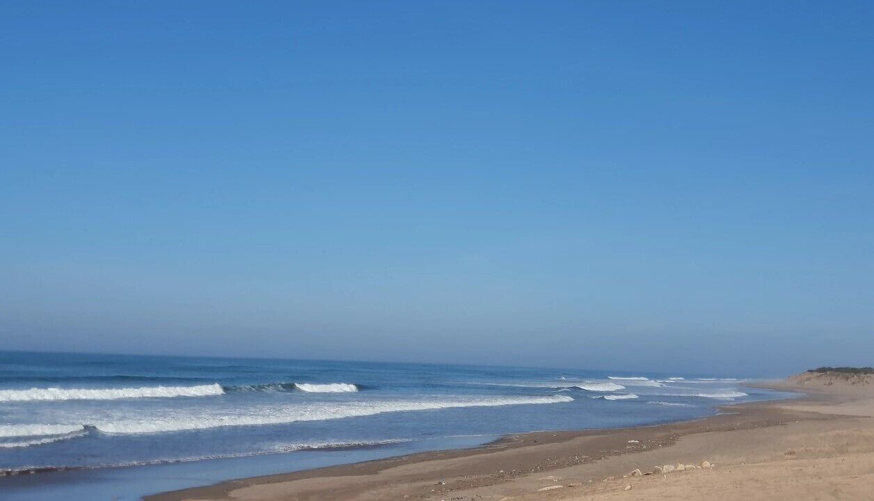 Photo of Others in Sidi Rahal