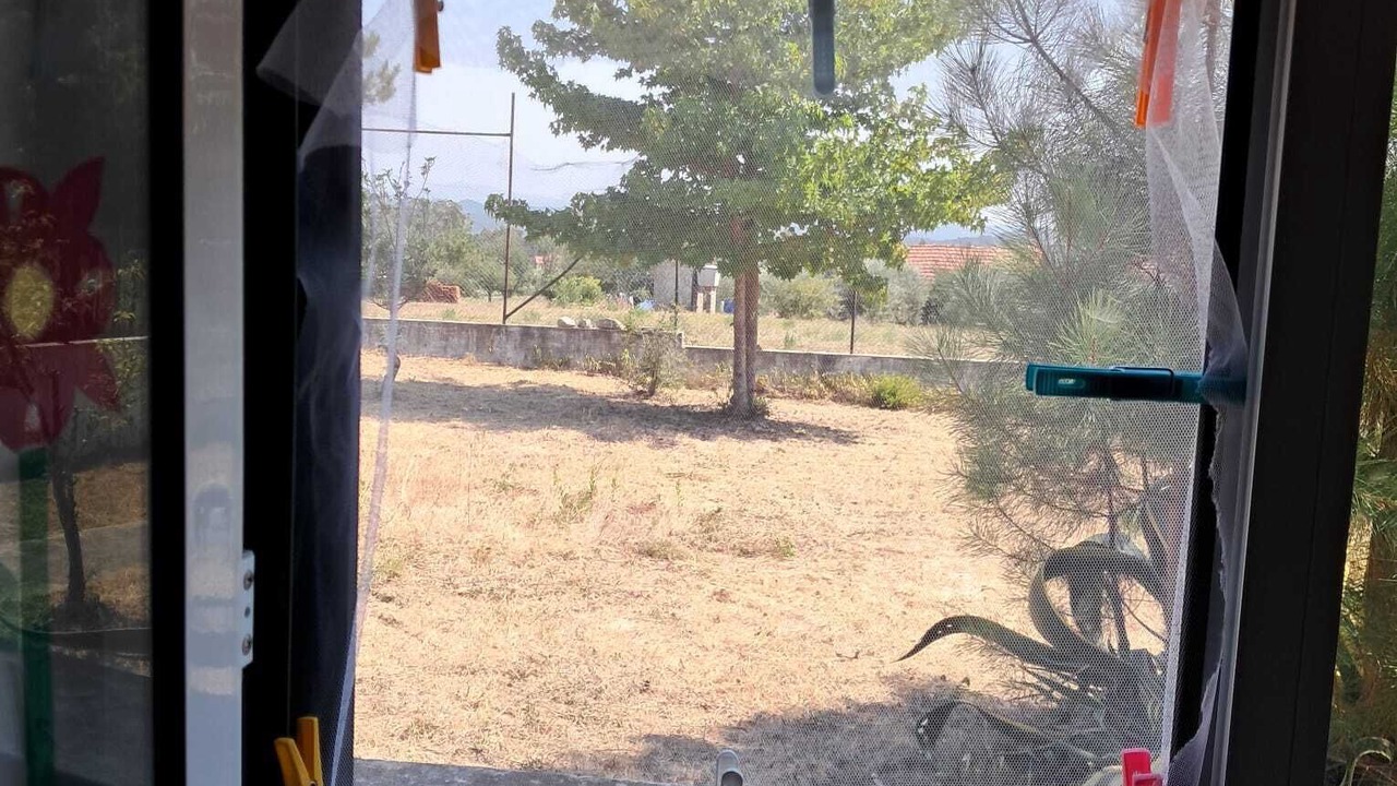 Photo of Others in Camparca