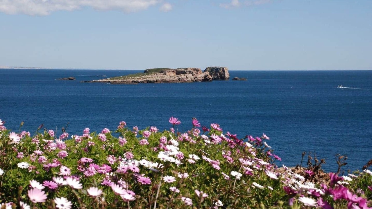 Photo of Others in Sagres