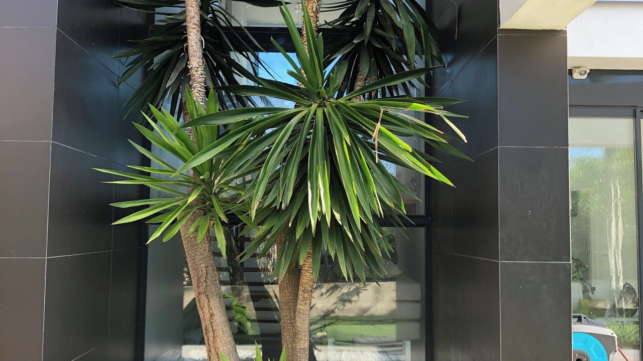 Photo of Outdoor in Bonmont Terres Noves
