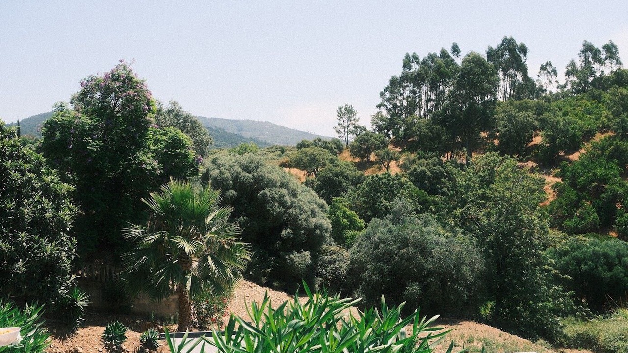 Photo of Outdoor in Monchique